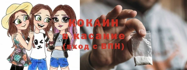 винт Абаза