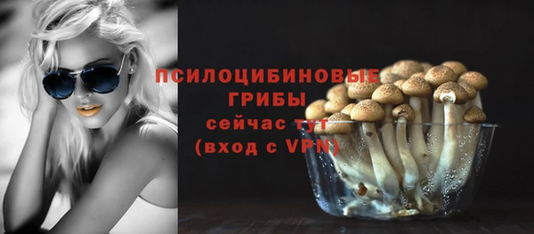 а пвп мука Алексеевка