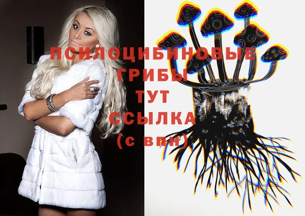 прущий лед Алексин