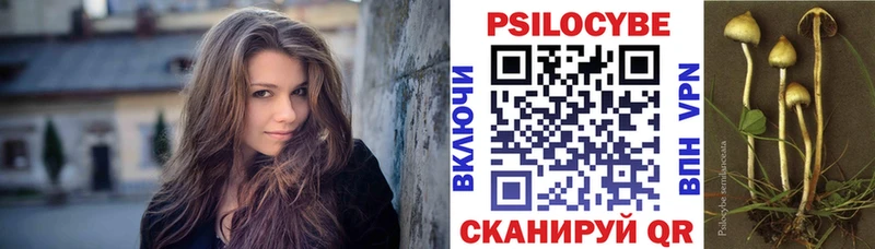 Псилоцибиновые грибы Psilocybe Топки