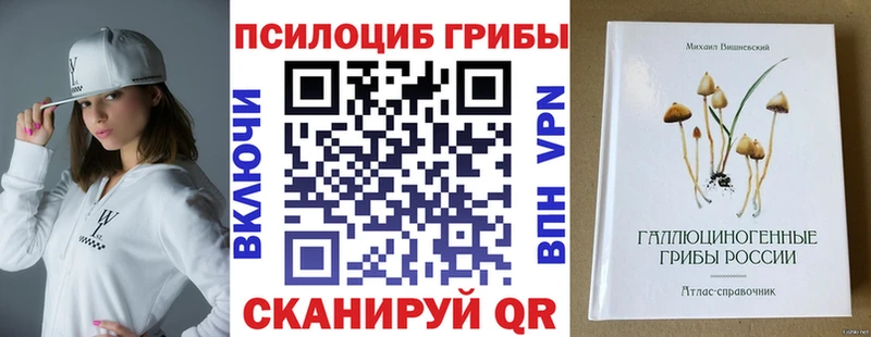 Галлюциногенные грибы Psilocybe Топки