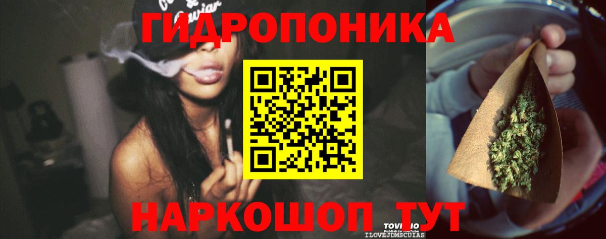 Бошки марихуана ГИДРОПОН Топки